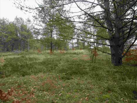 Działka budowlana na sprzedaż Kamień, Beżowa 1 152m2 Foto 2