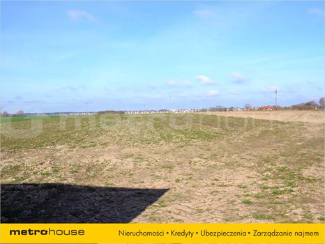 Działka inna na sprzedaż Kisiny, Działdowo 45 000m2 Foto 2