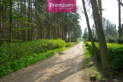 Działka budowlana na sprzedaż Rosanów, 1 Maja 1 452m2 Foto 3