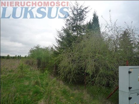 Działka budowlana na sprzedaż Łoś, Łoś 1 200m2 Foto 4