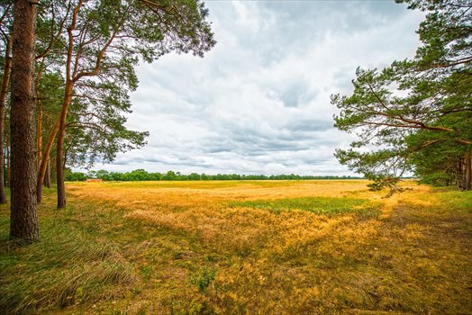 Działka budowlana na sprzedaż Skwierzyna, Działki 600 m od rzeki Warty, piękna okolica 480m2 Foto 3