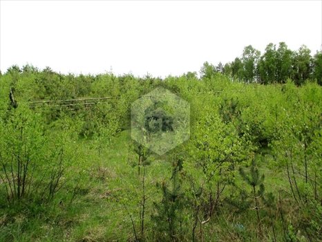 Działka budowlana na sprzedaż Gołubie 2 097m2 Foto 5