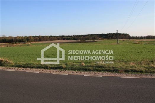 Działka siedliskowa na sprzedaż Stara Kiszewa 8 767m2 Foto 5