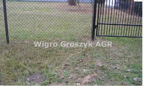 Działka inna pod dzierżawę Kiełpin 1 000m2 Foto 2