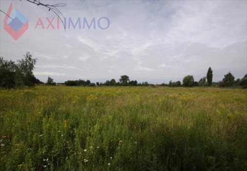 Działka inna na sprzedaż Zabrze 42 462m2 Foto 1