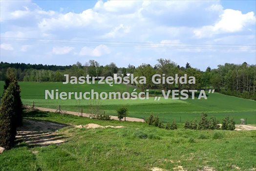 Działka inna na sprzedaż Jastrzębie-Zdrój, Ruptawa 980m2 Foto 4