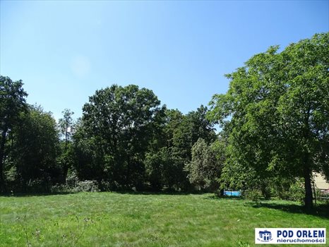 Działka inna na sprzedaż Bielsko-Biała, Wapienica 3 010m2 Foto 6