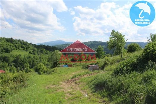 Działka budowlana na sprzedaż Mutne 1 241m2 Foto 1