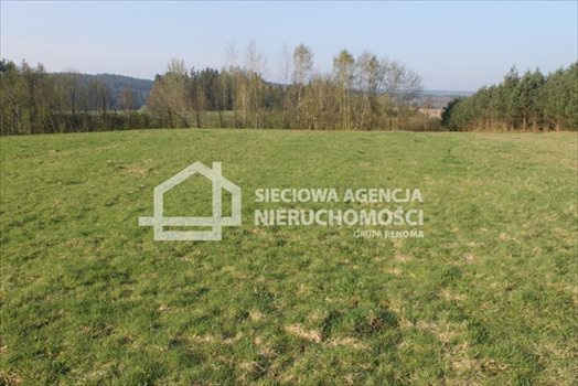 Działka budowlana na sprzedaż Lubowidz 1 760m2 Foto 3