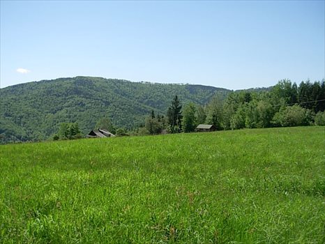 Dom na sprzedaż Porąbka 110m2 Foto 4