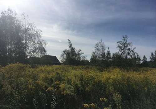 Działka budowlana na sprzedaż Paczkowo, Budowlana 830m2 Foto 2
