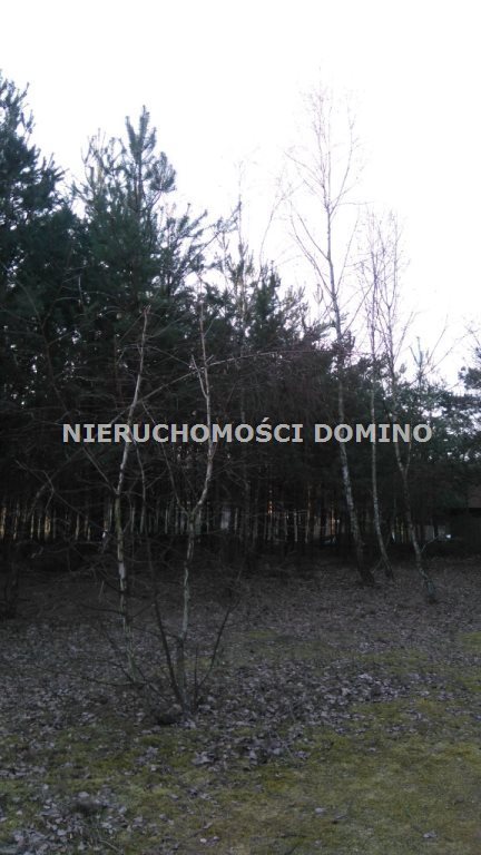 Działka budowlana na sprzedaż Borek 2 522m2 Foto 2