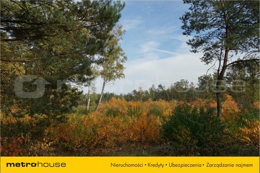 Działka inna na sprzedaż Bechcice, Lutomiersk 1 000m2 Foto 2