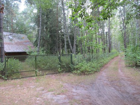 Działka budowlana na sprzedaż Ruda 10 500m2 Foto 3