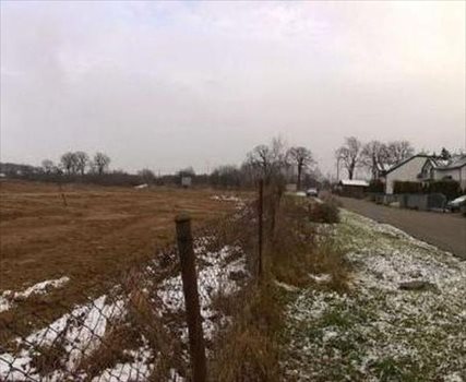 Działka budowlana na sprzedaż Poznań, Stare Miasto, Morasko, Morenowa 1 500m2 Foto 7