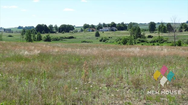 Działka rolna na sprzedaż Maruny 3 000m2 Foto 10