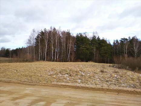 Działka leśna na sprzedaż Głazica, Szemud 14 000m2 Foto 1