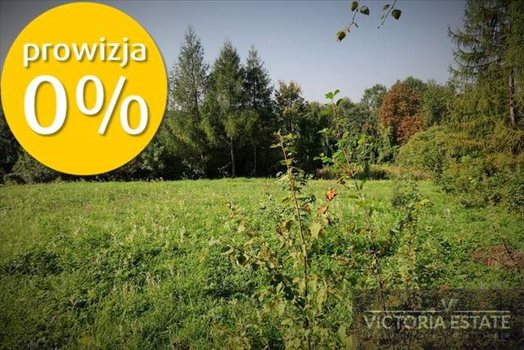 Działka budowlana na sprzedaż Włosań 2 600m2 Foto 2