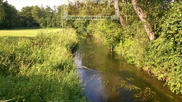Dom na sprzedaż Kruszew 125m2 Foto 9