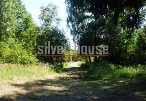 Działka budowlana na sprzedaż Kamieńczyk 7 138m2 Foto 2