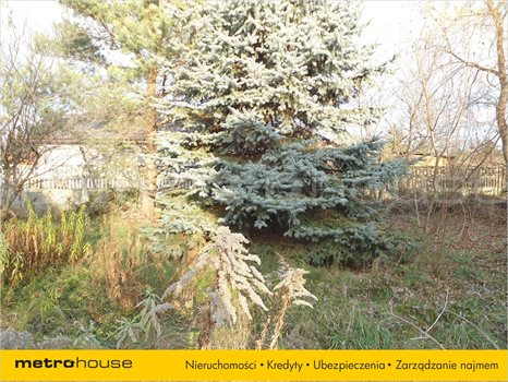Działka inna na sprzedaż Łódź, Górna 947m2 Foto 5