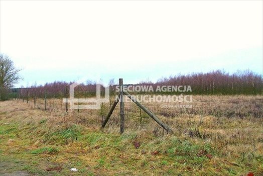 Działka leśna na sprzedaż Strzeczona 206 330m2 Foto 4