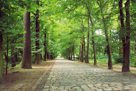 Dom na sprzedaż Strzykuły, Srebrzysta Aleja 460m2 Foto 11