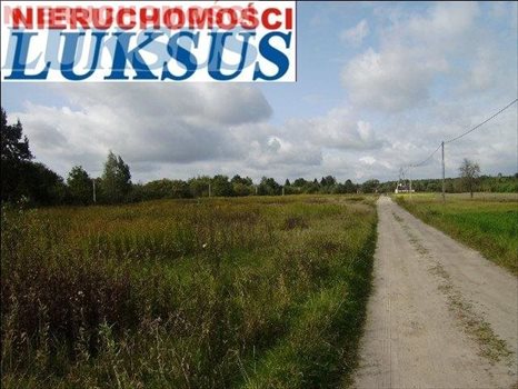 Działka budowlana pod dzierżawę Prażmów, Nowy Prażmów, Sporna 25 806m2 Foto 4