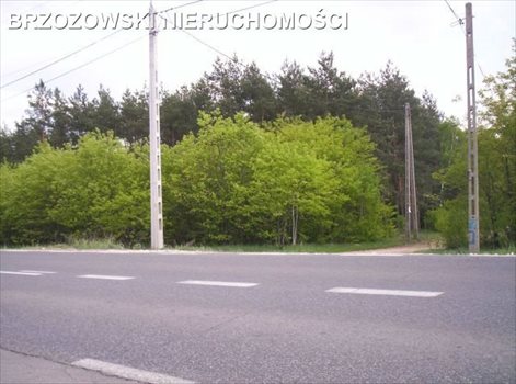 Działka budowlana na sprzedaż Józefów, Wiązowska 2 256m2 Foto 5