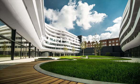 Lokal użytkowy na wynajem Wrocław, Stare Miasto, Podwale 211m2 Foto 10