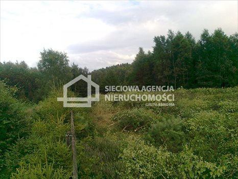 Działka rekreacyjna na sprzedaż Gołubie 1 090m2 Foto 8