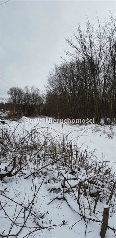 Działka budowlana na sprzedaż Wałbrzych, Szczawienko, Ogrodowa 8 422m2 Foto 7