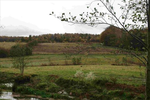 Działka budowlana na sprzedaż Czapielsk, Słonecznikowa 6 273m2 Foto 3
