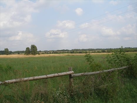 Działka budowlana na sprzedaż Ińsko 73 700m2 Foto 10