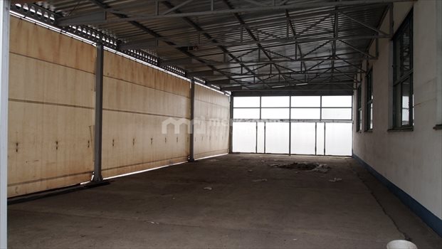 Lokal użytkowy na sprzedaż Buk 1 500m2 Foto 9