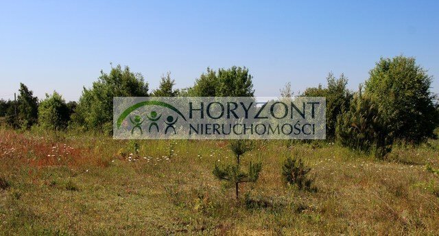 Działka budowlana na sprzedaż Bojano 1 000m2 Foto 4