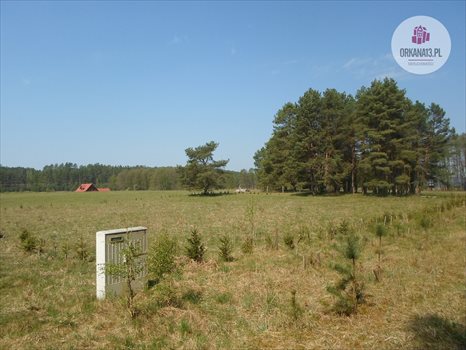 Działka rekreacyjna na sprzedaż Ząbie, Ząbie 2 981m2 Foto 4
