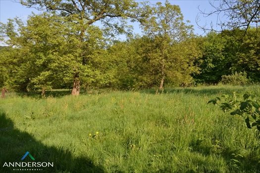 Działka budowlana na sprzedaż Kraków, Zwierzyniec 2 960m2 Foto 6