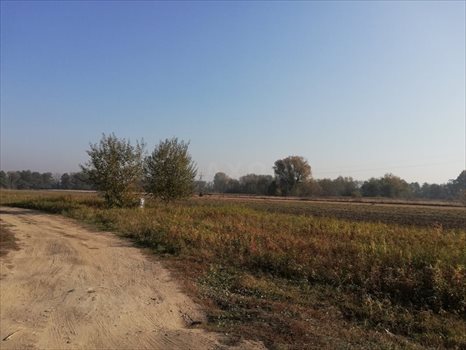 Działka inna na sprzedaż Kiełpin Poduchowny 10 023m2 Foto 7