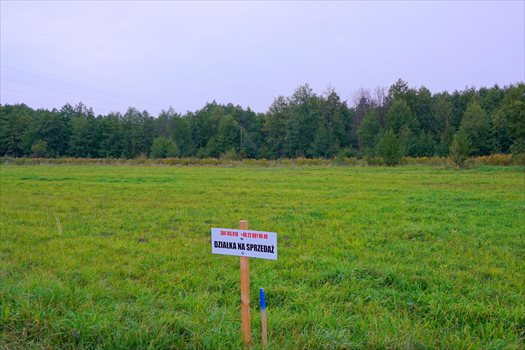 Działka budowlana na sprzedaż Jaktorów 1 258m2 Foto 3