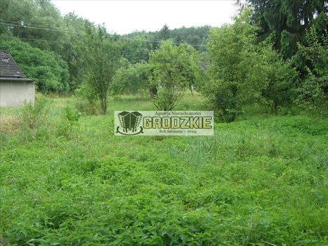 Działka budowlana na sprzedaż Tarnawce 1 637m2 Foto 2