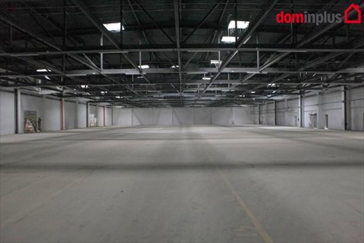 Lokal użytkowy na wynajem Toruń 1 000m2 Foto 3