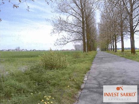 Działka inna na sprzedaż Połchowo, Ul.Pucka 39 800m2 Foto 2