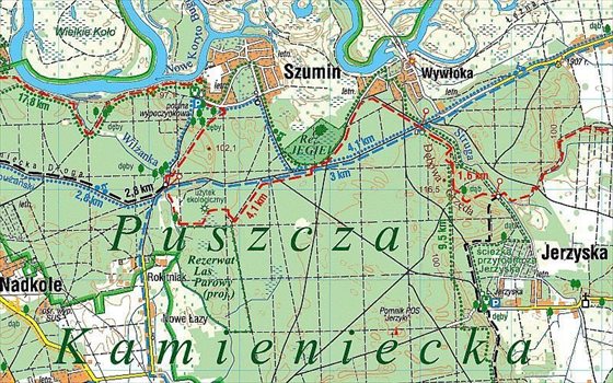 Dom na sprzedaż Kamieńczyk 480m2 Foto 9