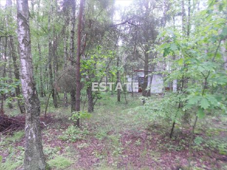 Działka budowlana na sprzedaż Rosanów, Wesoła 2 374m2 Foto 5