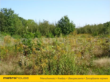 Działka inna na sprzedaż Łódź, Bałuty 3 576m2 Foto 5
