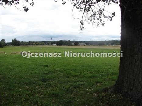 Działka rolna na sprzedaż Brzoza 3 013m2 Foto 7