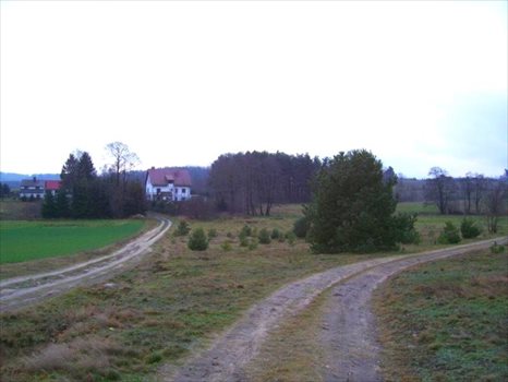 Działka inna na sprzedaż Koleczkowo, Wrzosowa 1 892m2 Foto 2