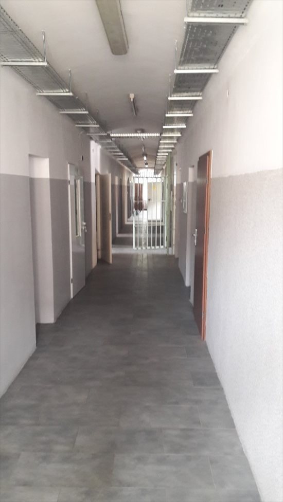 Lokal użytkowy na sprzedaż Śrem, ks. Piotra Wawrzyniaka 2 460m2 Foto 9