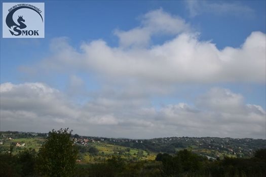 Działka budowlana na sprzedaż Golkowice 4 700m2 Foto 3